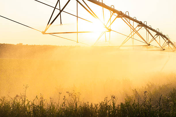 istock Agricultural watering pivot irrigation system on a corn field at sunset. 2234984123