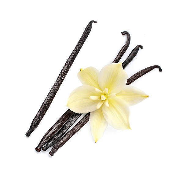 istock Vanilla stick with vanilla flower 2234987898