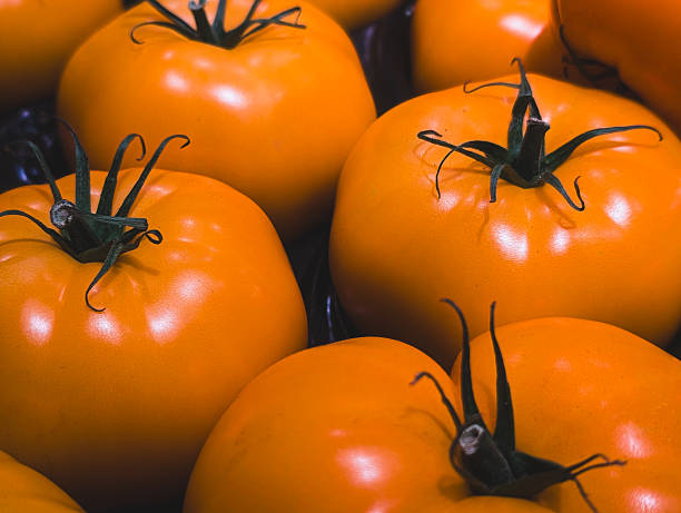 Bright yellow tomatoes with stems, freshly harvested, ideal for illustrating farm produce, vegetarian meals, and healthy eating themes.