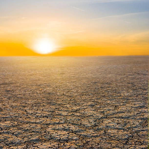 istock dry cracked saline land at the dramatic sunset 2234992067