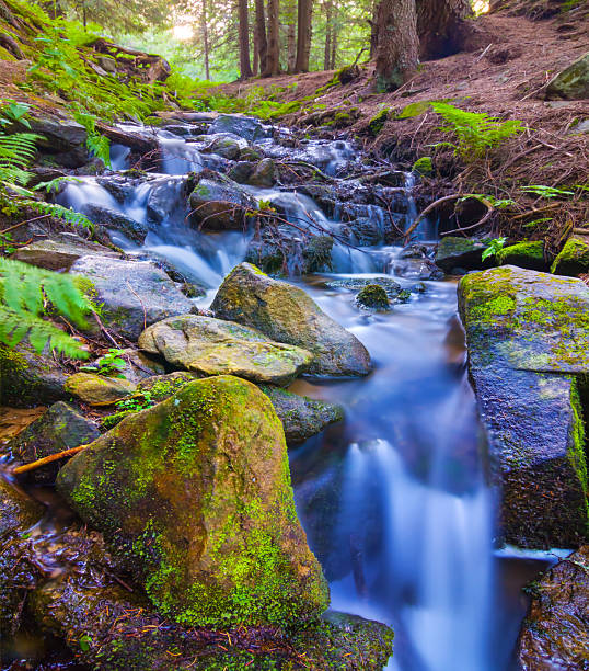 The view of the moss valley in Jangjeon Valley in Pyeongchang, Gangwon Province