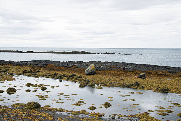 Pebbles on the black basalt sand beach near the village of Vik in Iceland during a sunset in summer.