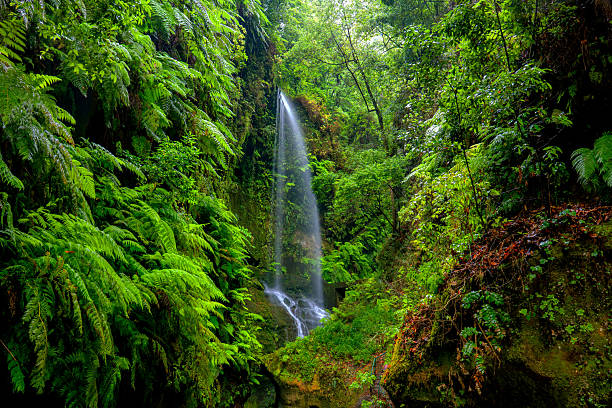 Beauchamp Falls, Beech Forest, Victoria, Australia. Aerial. Converted from Raw.