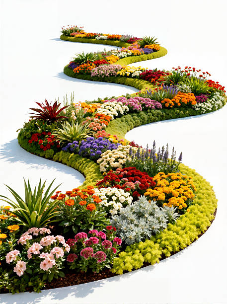 A long, S-shaped flowerbed path with various colorful flowers and lush green plants winds across a white background, creating a visually appealing and artistic garden design.