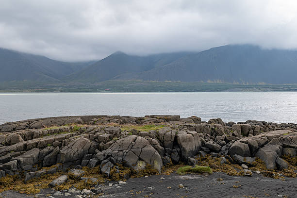 istock sea and rock formation in Iceland 2235003259