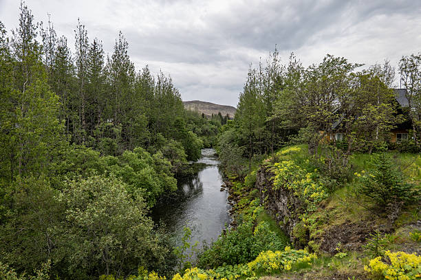 istock river in a canyon in Iceland 2235003272