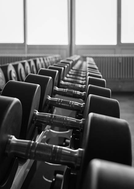 row of dumbbells in  an athletic gym