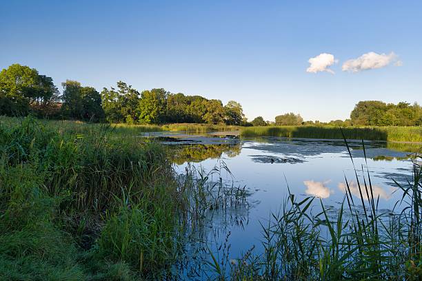 istock Calm waters reflect greenery in a serene landscape during a clear day in nature 2235003974
