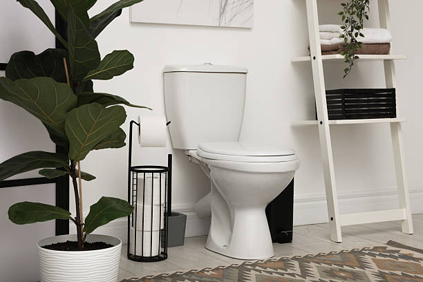 istock Ceramic toilet bowl, necessities and houseplants in restroom 2235005298