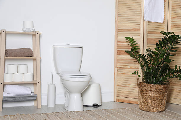 istock Folding screen, toilet bowl and houseplant in restroom. Interior design 2235005309