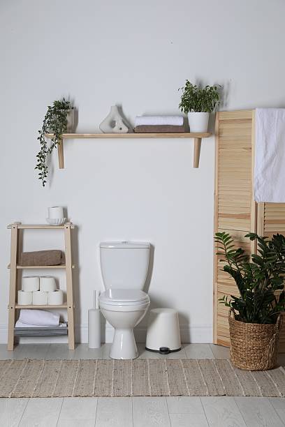 istock Folding screen, toilet bowl and houseplants in restroom. Interior design 2235005324