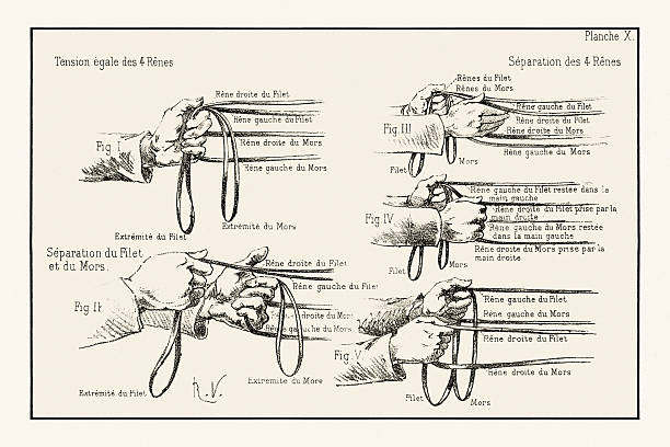 Antique equestrian art. Horse training and riding illustration, published in Paris, 1891.