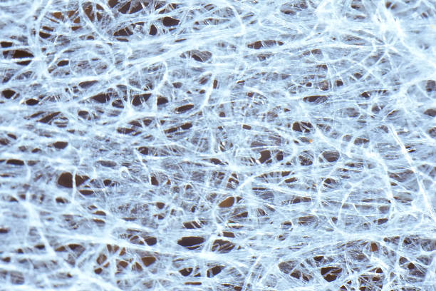 istock Background texture made of transparent organic. 2235022254