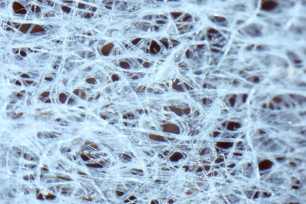 Background texture made of transparent organic. Threads of organic matter.