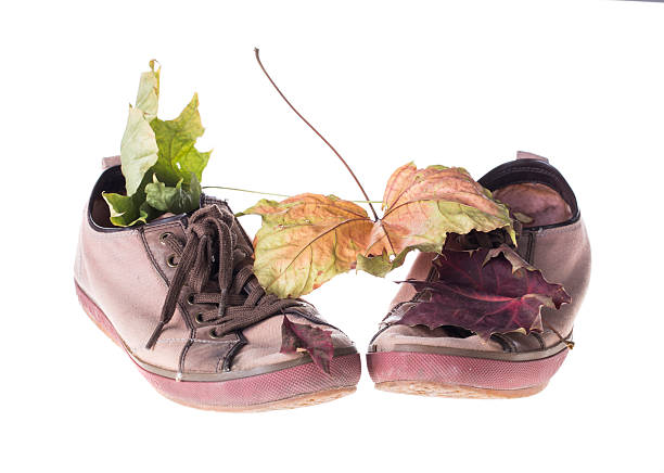 Old gymshoes and autumn leaf. Isolated on the white background.