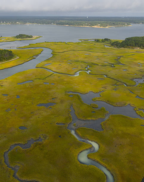 istock Aerial View of a Beautiful Salt Marsh on Cape Cod, Massachusetts 2235026967