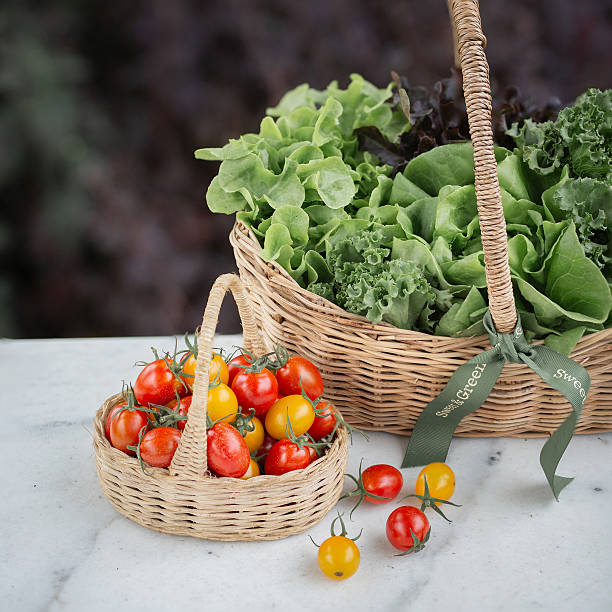 Fresh Basket of Organic Lettuce and Cherry Tomatoes, A natural basket filled with freshly harvested organic lettuce and colorful cherry tomatoes, perfect for healthy salads and farm-to-table meals.
