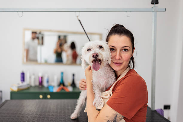 istock Professional groomer hugging dog, looking at camera 2235035884