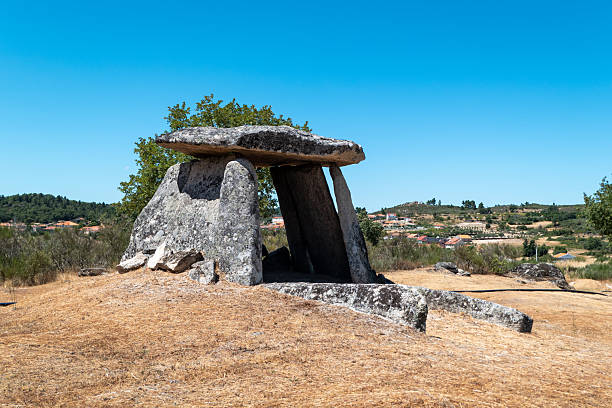 Prehistoric tapir in the middle of nature and near a village in Portugal