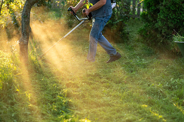 istock Worker mowing green grass with trimmer in bright evening sunlight 2235039619