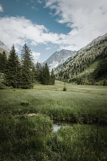 istock Small Stream and Meadows in the Riesach Valley 2235040487
