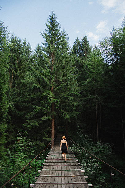 The serene woman walking on the wooden suspended bridge under the river in a pine forest in the mountains