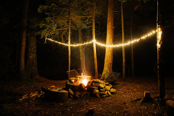 Warm campfire glowing in a serene forest setting, featuring string lights hanging between trees. Ideal for conveying camping, tranquility, and nature during nighttime