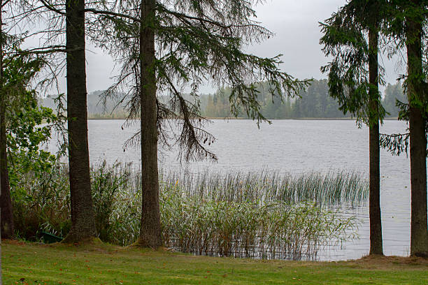 Views of the trails and woods around Rockridge Pond in Wellesley, MA, a suburb of Boston.  The pond is enjoyed year round for hiking, skating, and fishing.