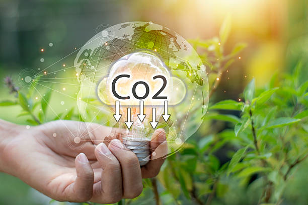 istock The concept of reducing CO2 and pollution, global warming problems and creating a green world 2235062406