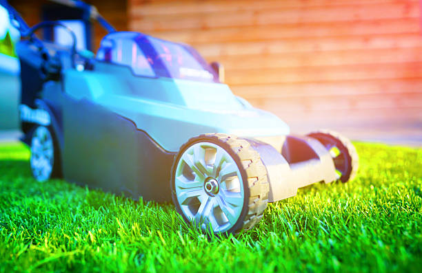 istock Grass Trimmer, Grass Cutter. Lawn maintenance service. Mows weeds on backyard. 2235065032