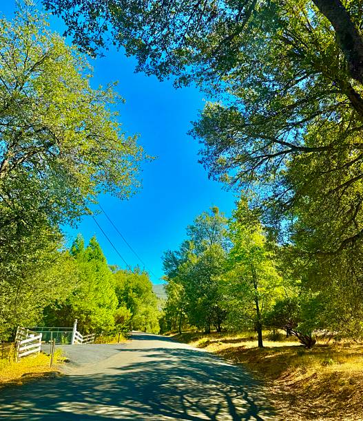 County road in the former silver mining town of Julian. A mountain community located in the Cuyamaca Mountains of San Diego County. Now a tourist destination and apple growing region.