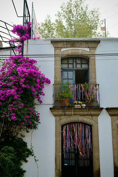 istock Rainbow Streamers in Windows and Bougainvillea Bloom (Mexico City, CDMX, Mexico) 2235065661