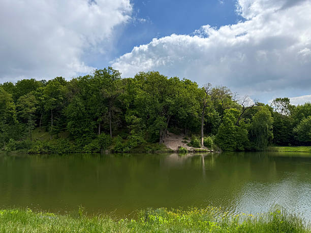 istock Calm river in the park 2235065843