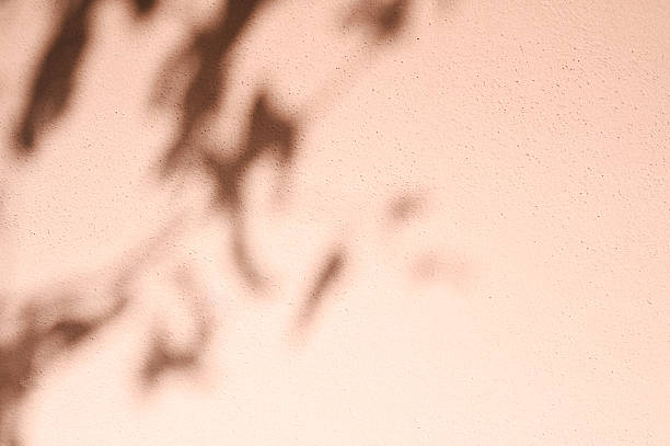 Shadow of leaves creating a beautiful pattern on pink wall, perfect for backgrounds and designs