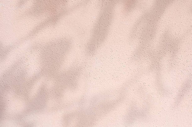 Soft pink wall texture with subtle leaf shadows creating a serene ambiance