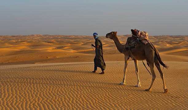 Shingetti. Mauritania. October 05, 2021. A lonely Moor in national dress leads a loaded one-humped camel through the sandy dunes of the Sahara Desert.
