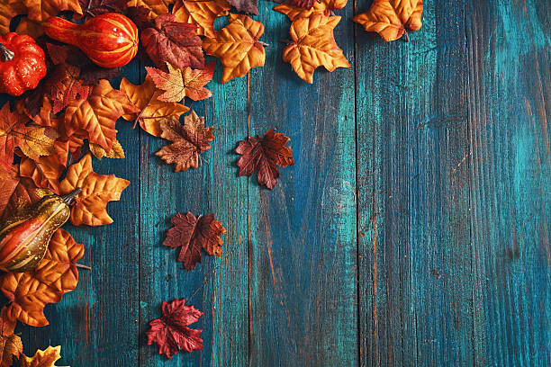 istock Autumn Decoration Background with Pumpkins, Leafs and Nuts 2235080781