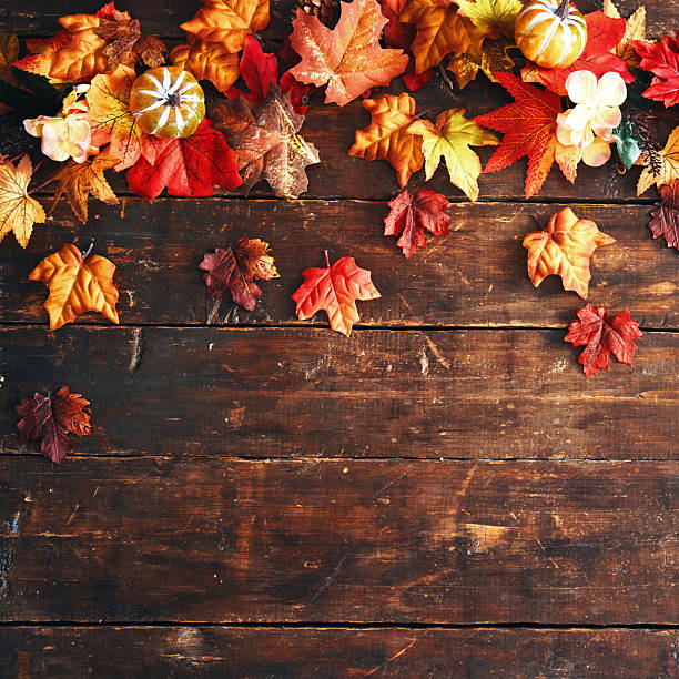 Autumn Decoration Background with Pumpkins, Leafs and Nuts