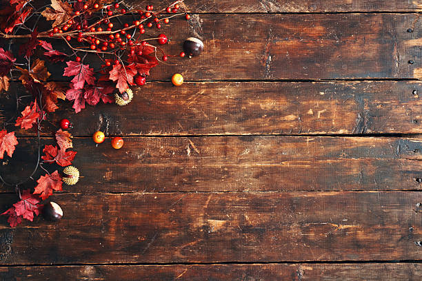 Autumn Decoration Background with Pumpkins, Leafs and Nuts