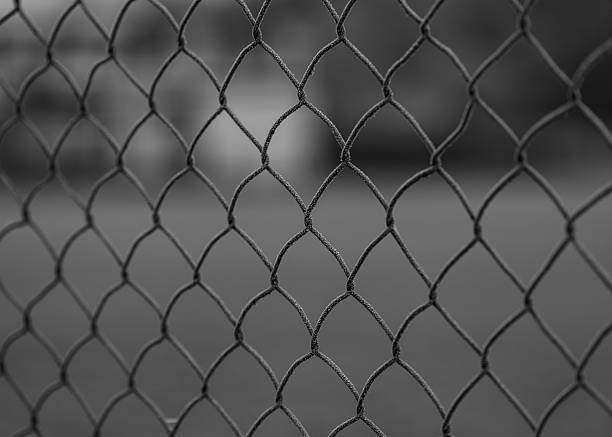 wire mesh fence in frost in winter