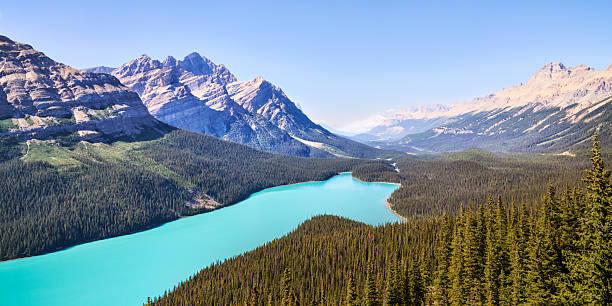 istock Peyto Lake in Jasper National Park 2235097776
