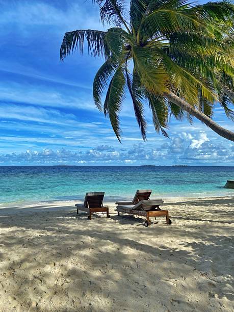 istock Two lounge chairs sit on a tropical beach under a palm tree with a beautiful ocean view.Concept of: Beach tranquility. 2235099442