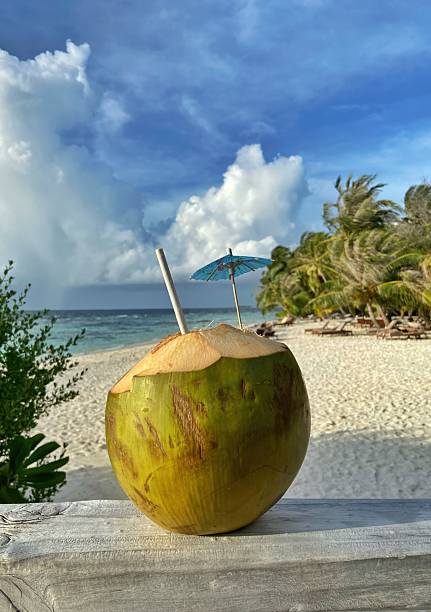 istock A refreshing coconut drink with a straw and umbrella sits on a wooden surface with a tropical beach backdrop. Concept of: Island refreshment. 2235099491