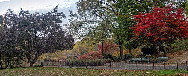 istock Gapstow Bridge in Central Park, late autumn 2235104556
