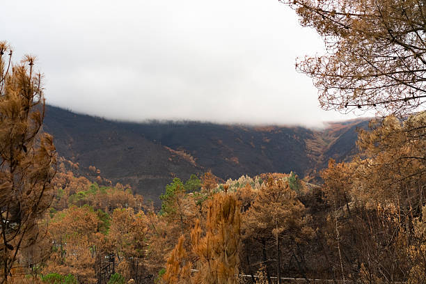 istock Aerial view of a forest fire in Serra da Estrela 2235128862