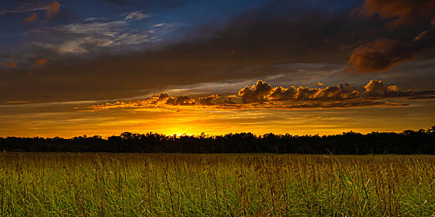 istock Beautiful sunset over sawgrass marsh in Florida 2235129782