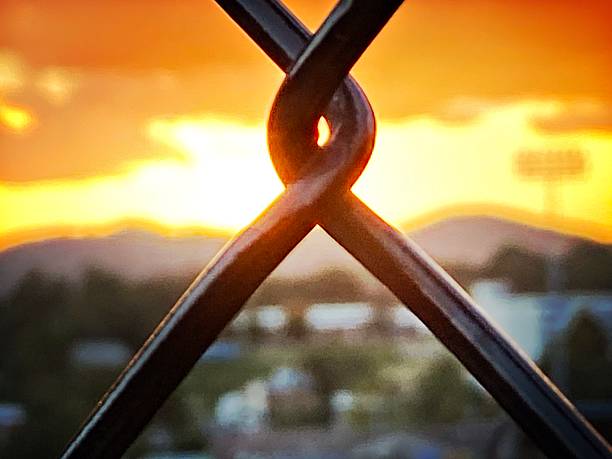 Chained Link in Front of a Sunset