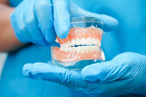 istock Dental teeth model on white background for learn about dentistry. 2235140142
