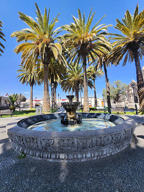 istock park with many palm trees and a stone water fountain 2235147689
