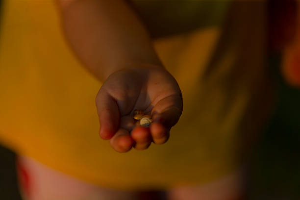 A close-up image of a child's hand holding small items, illuminated softly in a warm, dim light, capturing the innocence and curiosity of childhood.